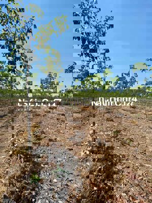 Đất ngộp chính chủ  cần bán