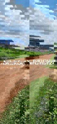 Chủ bán đất Lai Hưng Bầu Bàng