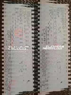 Bán đất lô góc chính chủ