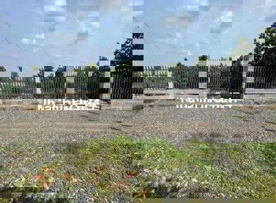 Chủ kẹt tiền bán gấp vườn mít 2 năm tuổi