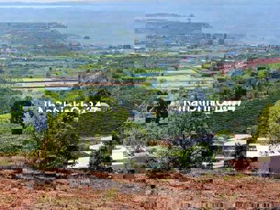 Chủ gửi bán lô đât view đẹp tại Lâm Hà giá chỉ 575tr