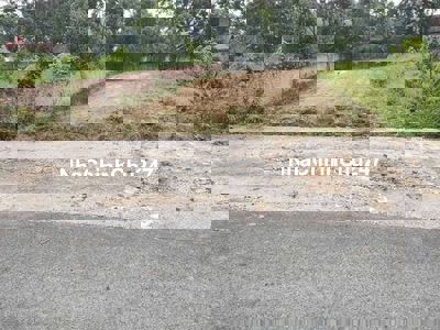 Bán Đất Chính chủ Tam Dương Vĩnh Phúc