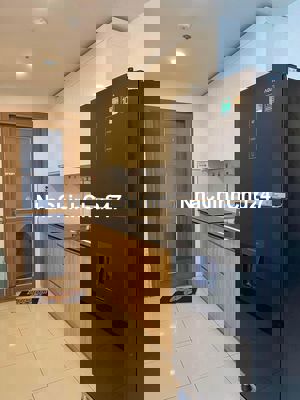 Căn hộ chính chủ