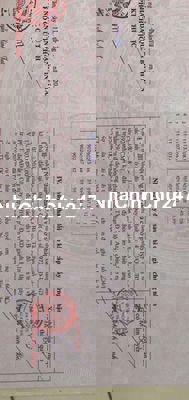 CHÍNH CHỦ BÁN GẤP ĐẤT THỔ CƯ SHR