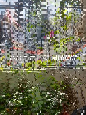 Chính chủ bán nhà đang ở