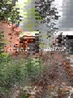 Đất nền chính chủ đường nhựa Bầu Trâm