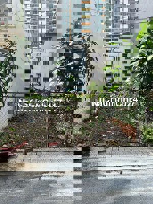 Bán đất chính chủ 5*20 cn100m2 - SHR - Giá 12 tỷ