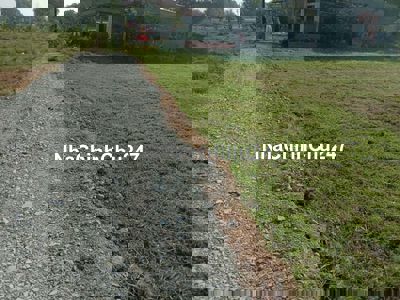 Chủ cần bán lo đất vườn 1486mv. Giá 3t200. Mặt tiền tl839