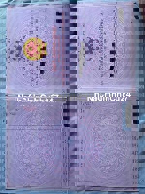 Chính Chủ Đất Sạch Thổ Cư Sổ Hồng Dự Án ATP Bảo Lộc