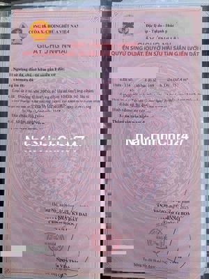 Cần bán đất chính chủ