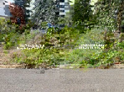 Đất thổ cư chính chủ cần ra nhanh giá ngộp