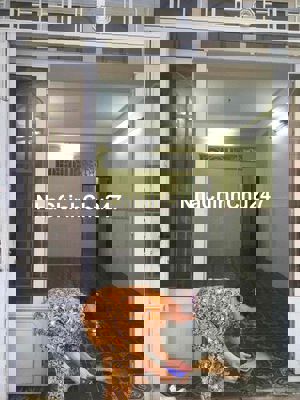 nhà bán chính chủ   trung tâm q10