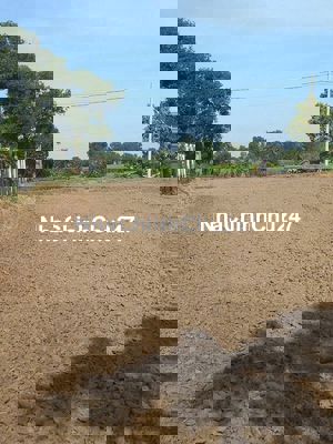 CHÍNH CHỦ bán nền đất lúa 900m2 tại Cần Đước