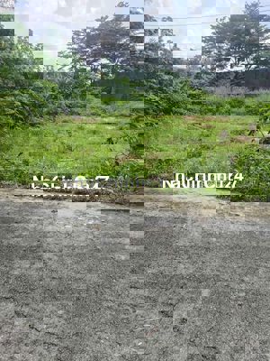 Chính Chủ-Bán Đất-Tân Định-Bến Cát