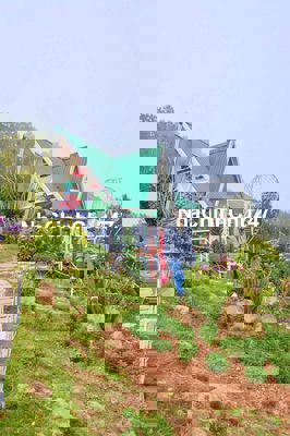 Chính chủ cần bán đất Bàu Bàng, HCM