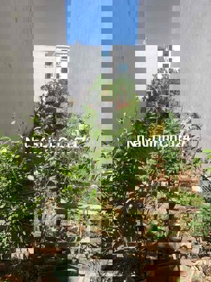 💗💗Nhỉnh 3 tỷ 38 m2 vuông vắn sổ đỏ chính chủ giá đầu tư   Sổ đỏ chính