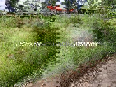 BÁN KHU PHÂN LÔ THỦY PHÙ GIÁ RẺ - CHÍNH CHỦ