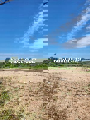 🔥 BÁN ĐẤT MẶT TIỀN TL7 AN NHƠN TÂY – ĐẤT CHÍNH CHỦ GIÁ ***