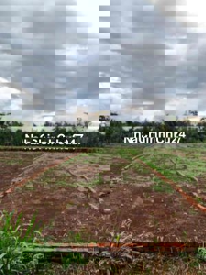 Bán đất thổ cư chính chủ