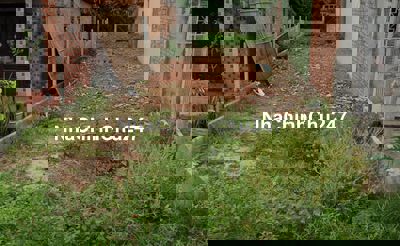 CHỦ BÁN ĐẤT 125M2, 680TR, SUỐI LỘI,  PHƯỚC VĨNH AN, CỦ CHI. SHR