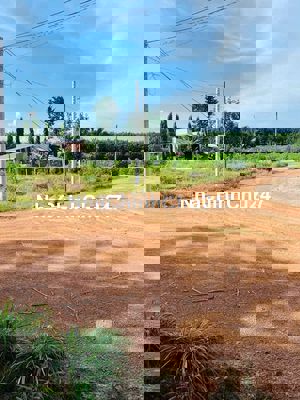 Chính Chủ  bán 230m2 xây TRọ Tp Hồ Chí Minh 230 Triệu.