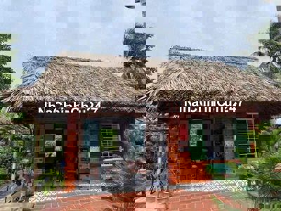 CHỦ NGỘP RA NHANH NHÀ VƯỜN