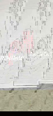 Chính chủ bán nhà 60m2 ngang 4m đất đẹp kiệt thẳng gần đường chính