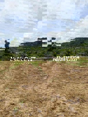 bán đất trồng cây lâu năm chinh chủ