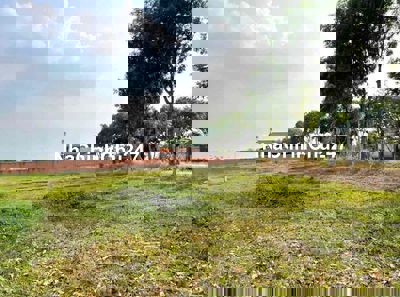 🏡 CHÍNH CHỦ GỬI BÁN ĐẤT ĐẸP – XÃ THÁI MỸ, CỦ CHI, TP.HCM 🏡