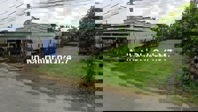Chính Chủ Bán Gấp Lô Đất MT BaSa, DT 210m², 7 x 30, Full thổ cư, SHR