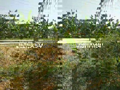 CHỦ CẦN RA NHANH GIẢM 50 TRIỆU  View Song Hậu Mát Mẻ, Cách KCN 7 phút