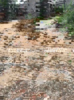 bán đất chính chủ kẹt bank Mỹ Thắng phù mỹ Bình Định