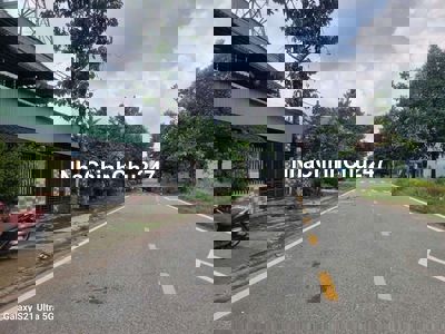 CHÍNH CHỦ BÁN LÔ ĐẤT ĐƯỜNG 81 PHÚ TÂN THÀNH PHỐ THỦ DẦU MỘT