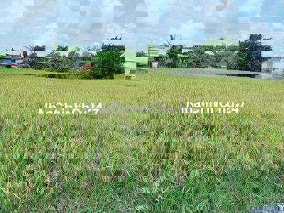 Chính chủ cần bán gấp đat thổ cư