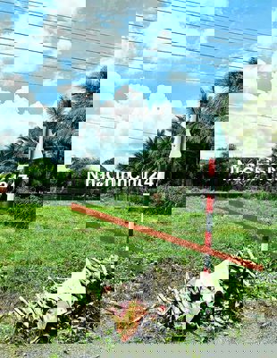 E chính chủ Cần bán gấp đất 140m trường Tây thị xã hoà thành