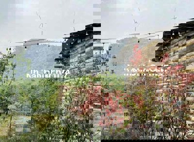 CHÍNH CHỦ CẮT LỖ 40% ĐẤT ĐÀ LẠT CÓ SẴN CĂN NHÀ GỖ VIEW RỪNG THÔNG