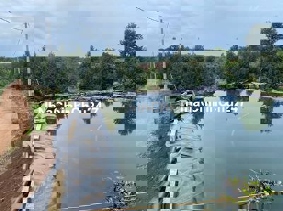 Giáp chủ cần bán 2000m2 trồng cây sầu riêng - Sổ sẵn SHR.