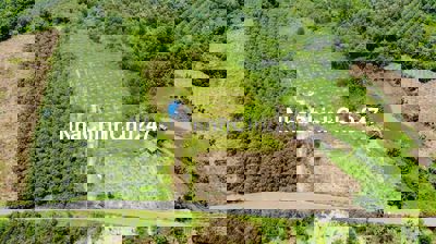 Chủ Ngộp Bán 10.000m2 Đất Mặt Tiền Đường Nhựa  , View Suối Giáp Quanh