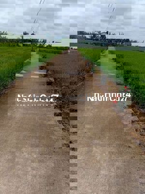 Chính chủ ! giá rẻ ! Bán 127,8m2 thổ , sổ hồng sẵn , Tân Trụ , Long An