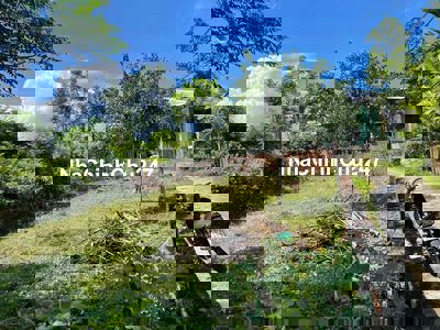 🏡 CHÍNH CHỦ CẦN BÁN NHANH LÔ ĐẤT 2 MẶT KIỆT – THÔN GÒ HÀ, HÒA TIẾN – Đ