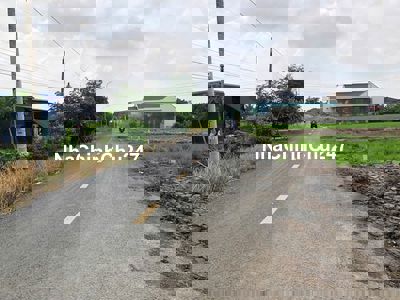 CHÍNH CHỦ kẹt tiền bán 2 nền thổ 131m2/nền, Cần Đước, Long An