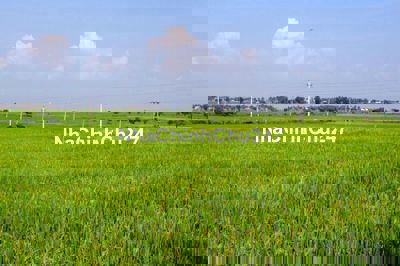 HOT- CẦN TIỀN XOAY SỞ CHỦ BÁN 500M2 ĐẤT THỔ CƯ+NÔNG NGHIỆP- TIỀN GIANG