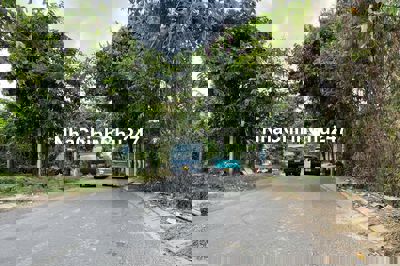 Chính chủ cần bán gấp lô đất xã Xuân Thới Sơn huyện Hóc Môn giá 4,2 tỷ