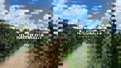 CHÍNH CHỦ BÁN FULL THỔ CƯ , CÓ 100 TC TT NAM BAN