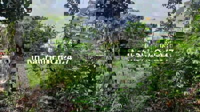 Chính chủ cần bán đất nhà cấp 4 sổ hồng riêng