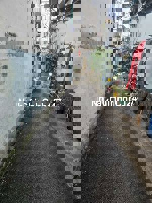 4x9 một trệt một lầu nhà bán chính chủ quận 7