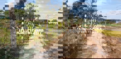 Chính chủ bán đất rẫy xã  Hoà Phú - Buôn Ma Thuột