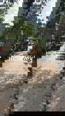 Chính chủ bán đất full thổ cư hẻm xe tải Trần Văn Giàu Bình Chánh