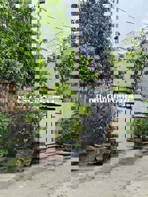 Chính chủ, 80m2 full thổ, Ấp Chiến Lược và Tân Kỳ Tân Quý, hẻm xe tải