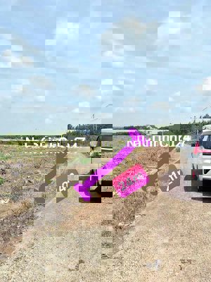 Chủ ở Dĩ An gửi bán gấp lô đất 1305m2 giá 250tr, ngang 24m, full hồng